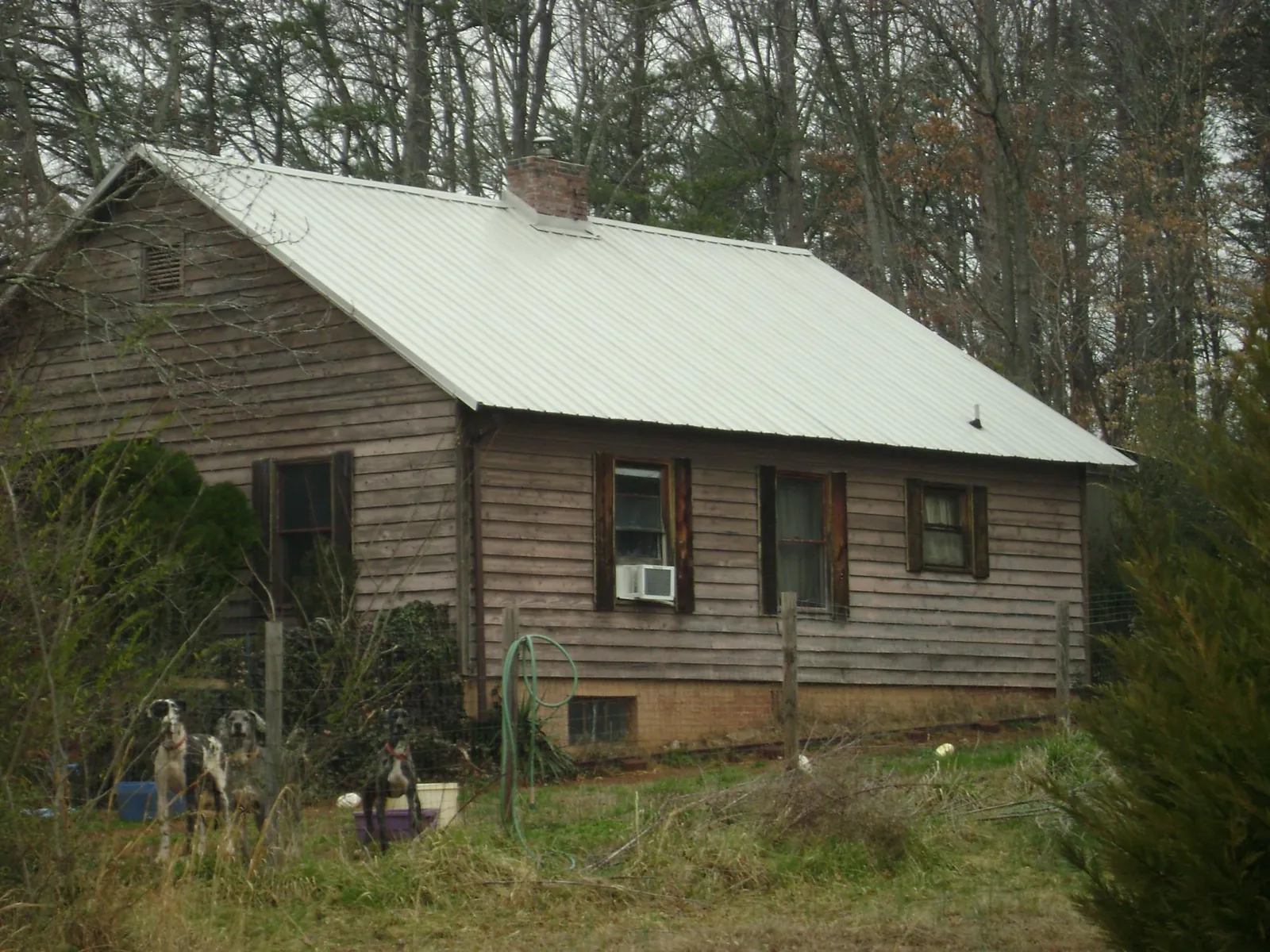 White metal roof on an old wood sided farmhouse, from a Asphalt Shingle Roof Repair job in Erving